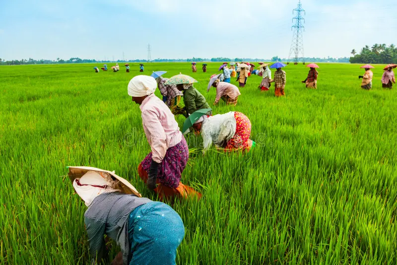 India Champions Small Farmers at BRICS Summit Amid Climate and Market Turmoil